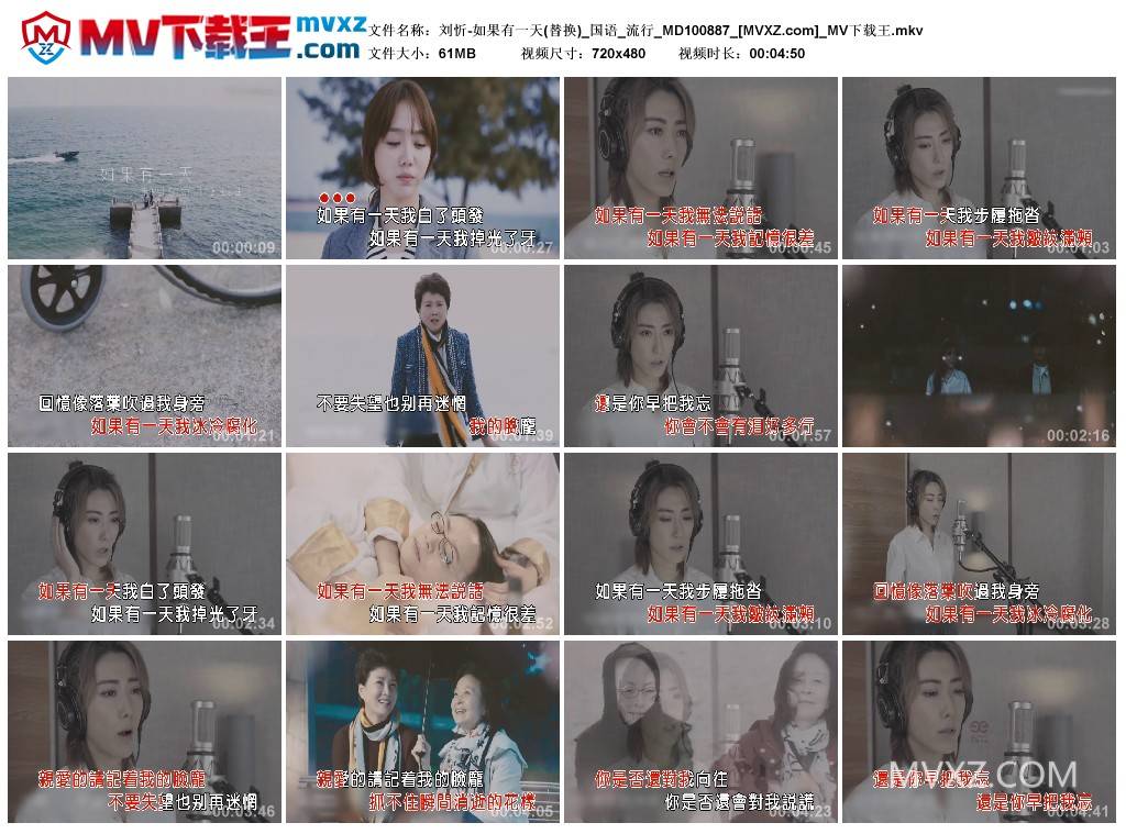 刘忻-如果有一天(替换)_国语_流行_MD100887